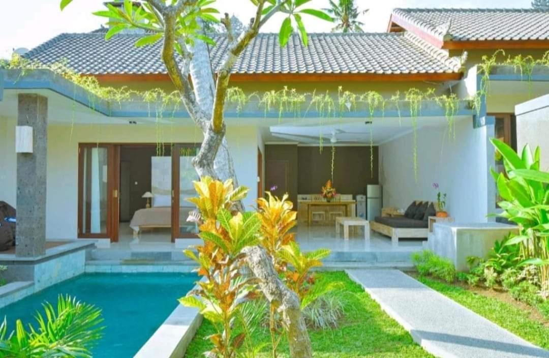 Amazing Ez Badung *